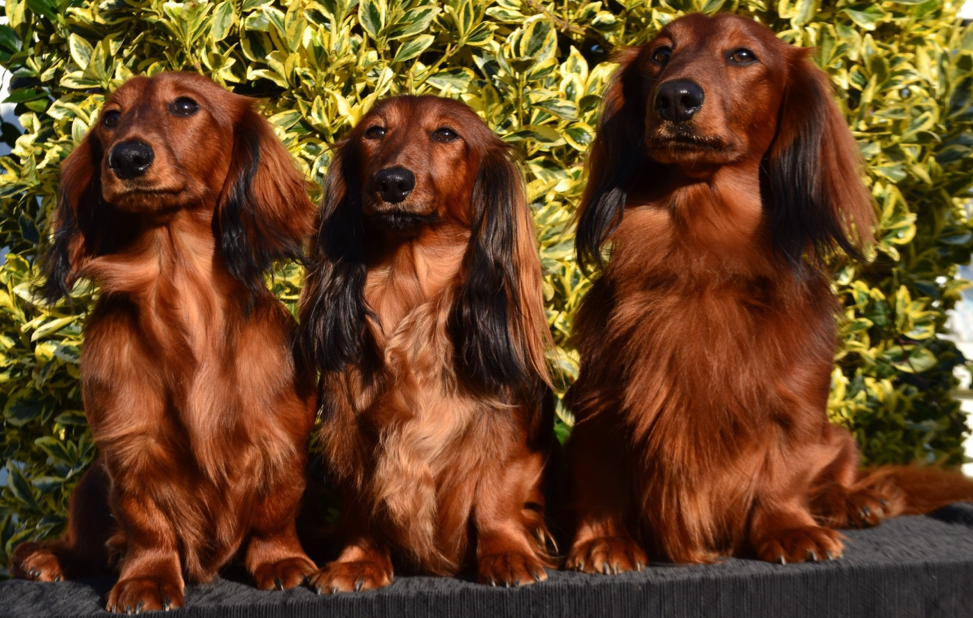 🚨Attention Arnaque🚨